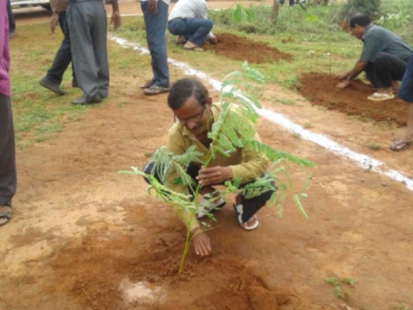 Plantation Services